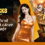 Giới thiệu Luck8 – Nhà cái uy tín hàng đầu