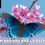 Giải mã mơ thấy bướm bay vào nhà điềm gì? Gợi ý bộ số đẹp