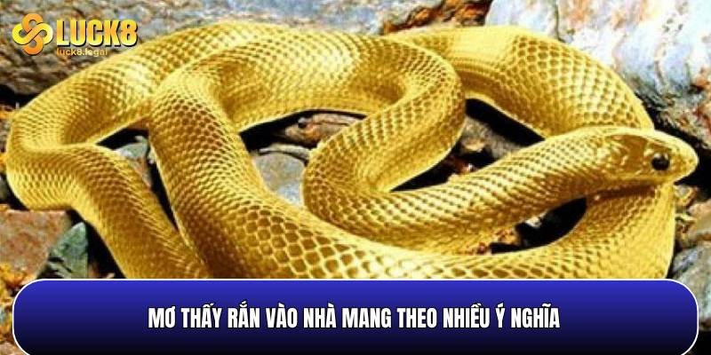 Mo Thay Ran Vao Mang Theo Nhieu Y Nghia Khac Nhau